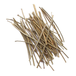 黄芩(オウゴン)