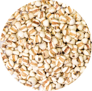 >薏苡仁(ヨクイニン)