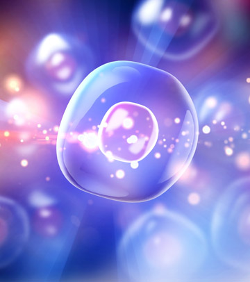 サイトカインイメージ図