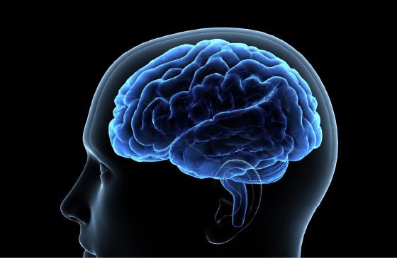 認知症予防にも期待